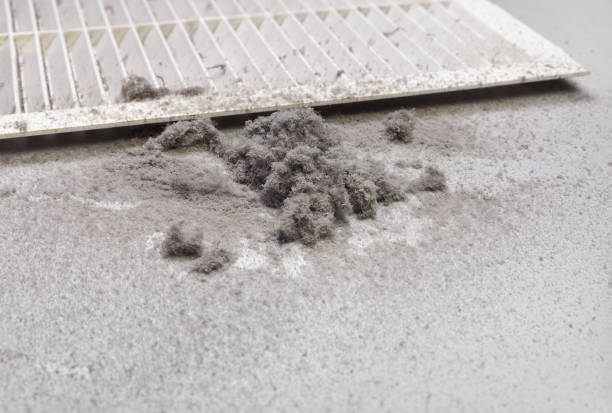 Best HVAC System Cleaning  in Montpelier, IN